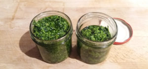 Wild Garlic Pesto