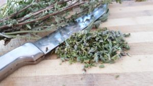 Chopping Herbs