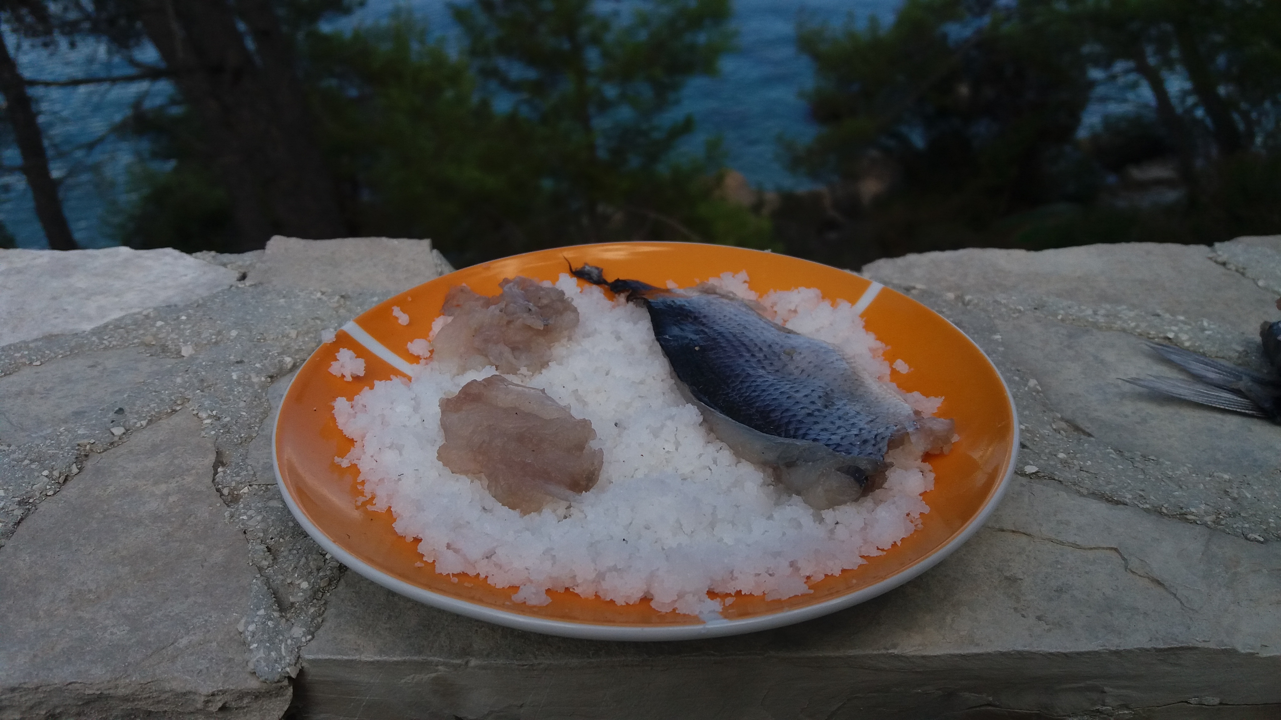 Fish Before Salting