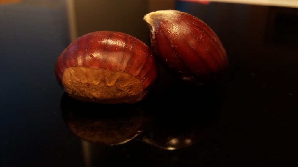 Fresh chestnut