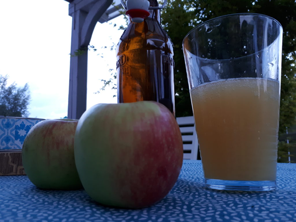 Best Homemade Cider